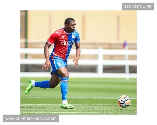 水晶宫中场拦截能力受损 杜库雷膝关节受伤影响中路防守覆盖